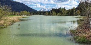 Beitragsbild des Blogbeitrags Des Kaisers Lust auf frische Fische