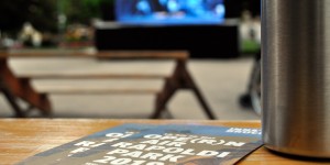 Beitragsbild des Blogbeitrags Ope(r)n Air im Rapoldipark