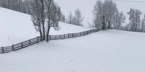 Beitragsbild des Blogbeitrags “Wenn’s an Mariä Lichtmess stürmt und schneit…”