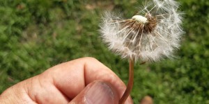 Beitragsbild des Blogbeitrags Anleitung zum Müßiggang
