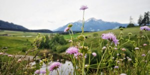 Beitragsbild des Blogbeitrags Wandern mit Kindern: 3 spannende Ausflugsziele für Groß & Klein 