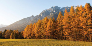Beitragsbild des Blogbeitrags 3 Easy Hikes To Try In Innsbruck This Autumn
