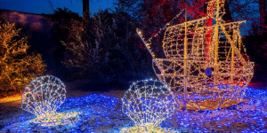 Beitragsbild des Blogbeitrags Lumagica Innsbruck
