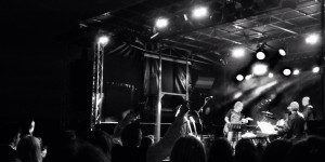 Beitragsbild des Blogbeitrags Reinhard Fendrich beim privaten Konzert