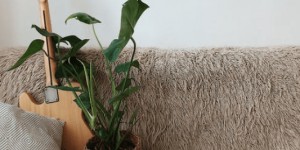 Beitragsbild des Blogbeitrags off topic | couchella #1