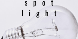 Beitragsbild des Blogbeitrags spotlight | franz ferdinand