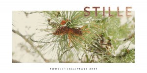 Beitragsbild des Blogbeitrags #WoVchristmaspeace in Vienna