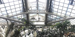 Beitragsbild des Blogbeitrags #wheninvienna – Palmenhaus Schönbrunn 