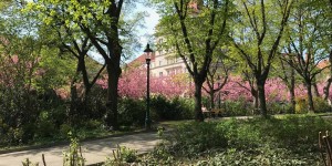 Beitragsbild des Blogbeitrags #WoVparkcollection – park of the month: Kongresspark