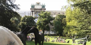 Beitragsbild des Blogbeitrags Lippizaner Happiness im Burggarten