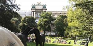 Beitragsbild des Blogbeitrags Lippizaner Happiness im Burggarten 