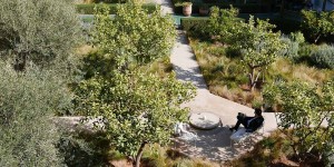 Beitragsbild des Blogbeitrags #wovparkcollection – Le Jardin Secret Marrakech