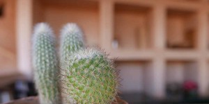 Beitragsbild des Blogbeitrags Das was bleibt