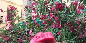 Beitragsbild des Blogbeitrags Sag beim Abschied leise Servus
