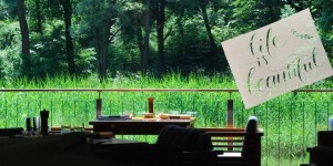 Beitragsbild des Blogbeitrags Hanslteich. Summer Escape in the City