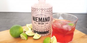 Beitragsbild des Blogbeitrags NIEMAND DRY GIN: Gin -äh Sinn- des Lebens?