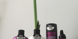 Beitragsbild des Blogbeitrags NEU: Syoss CERAMIDE-Complex 