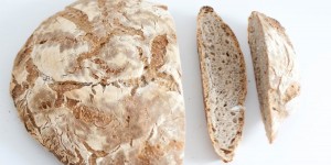 Beitragsbild des Blogbeitrags Ciabatta-Brot