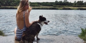 Beitragsbild des Blogbeitrags Mit Hund baden in Wien: Hundestrände | Meine Favoriten 
