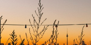 Beitragsbild des Blogbeitrags Berlin Guide: Breakfast, Drinks, Shopping & Sunset