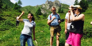 Beitragsbild des Blogbeitrags Ich war im Tal der Almen auf einer Kräuterwanderung