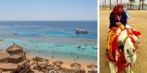 Beitragsbild des Blogbeitrags Urlaub in Ägypten, aber wohin eigentlich genau?