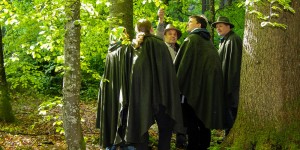 Beitragsbild des Blogbeitrags Ich war Waldbaden mit WALDNESS im Almtal