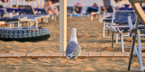 Beitragsbild des Blogbeitrags Auf nach Bella Italia: Ferienhäuser in Bibione