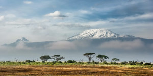 Beitragsbild des Blogbeitrags Kenia Urlaub: die schönsten Highlights 