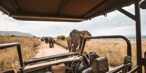 Beitragsbild des Blogbeitrags Reiseimpfungen für deinen Urlaub in Ostafrika