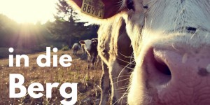 Beitragsbild des Blogbeitrags Packliste zum Wandern