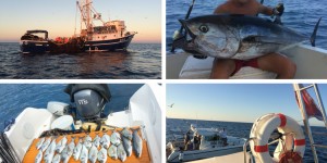 Beitragsbild des Blogbeitrags Einmal zum Hochseefischen: Big Game Fishing in Medulin – Super!!! 