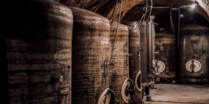 Beitragsbild des Blogbeitrags time for wine – Weinviertel DAC