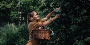 Beitragsbild des Blogbeitrags Nachhaltigkeit – Schritt für Schritt in die richtige Richtung.