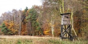 Beitragsbild des Blogbeitrags Waidmannsheil – von Wild, Jagd und Wildbret 