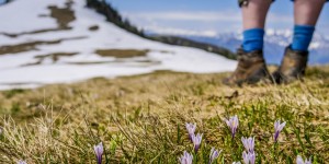 Beitragsbild des Blogbeitrags 5-Gipfel Frühlingstour in der Osterhorngruppe 