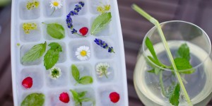 Beitragsbild des Blogbeitrags Kräuterwasser und Blumeneiswürfel 