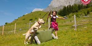Beitragsbild des Blogbeitrags Urlaub mit Hund im SalzburgerLand 