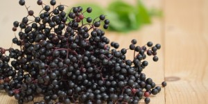 Beitragsbild des Blogbeitrags Rezepte mit Hollerbeeren