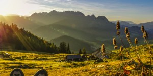 Beitragsbild des Blogbeitrags Herbstgold in den Salzburger Dolomiten 