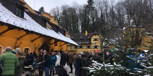 Beitragsbild des Blogbeitrags Bauernadvent am Gutshof Glanegg