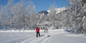 Beitragsbild des Blogbeitrags Das Blinklingmoos in Strobl 