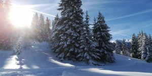 Beitragsbild des Blogbeitrags Winteridylle auf der Höhenloipe Embach