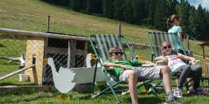 Beitragsbild des Blogbeitrags Kinderwanderung zu den Moosalmbären