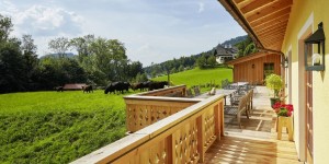 Beitragsbild des Blogbeitrags Farmers Club: Im Einklang mit der Natur