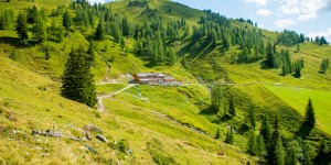 Beitragsbild des Blogbeitrags Loosbühelalm im Großarltal