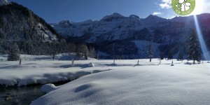 Beitragsbild des Blogbeitrags Winterwanderung zur Gnadenalm