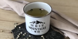 Beitragsbild des Blogbeitrags Gänseblümchen: Hustentee aus der Wiese