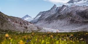 Beitragsbild des Blogbeitrags Raus in die Wildnis!
