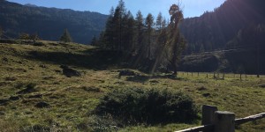 Beitragsbild des Blogbeitrags Alles Alm! Erlebnisweg auf der Gnadenalm 